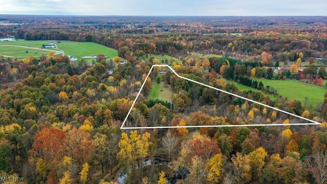 5552 Nelson Mosier Rd, Southington, OH 44470 - bird's eye view with a view of trees