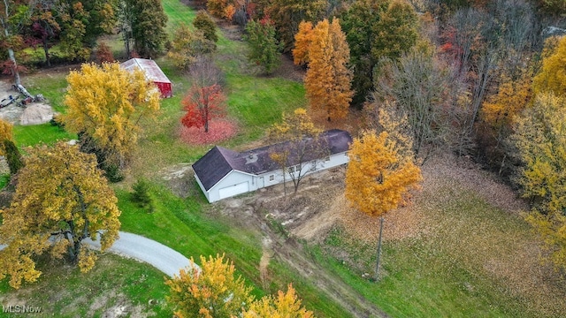 aerial view