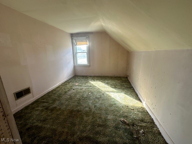 additional living space featuring carpet and vaulted ceiling