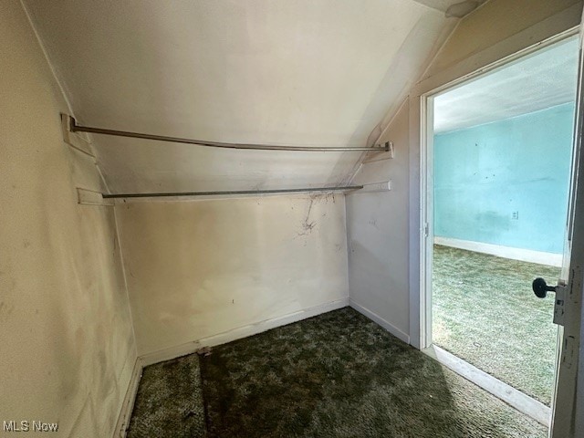 walk in closet with carpet and vaulted ceiling