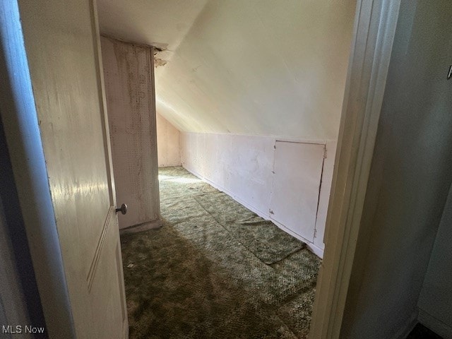 additional living space featuring carpet and vaulted ceiling