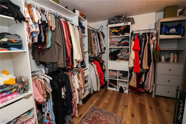 spacious closet featuring dark hardwood / wood-style flooring