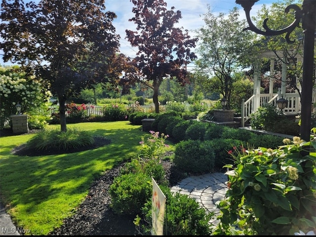 view of community with a yard