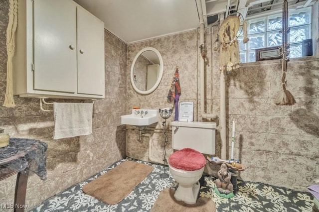 bathroom featuring toilet and sink