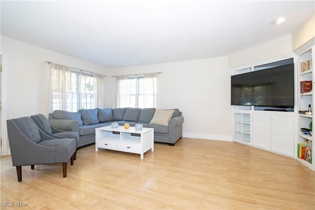 living room featuring light hardwood / wood-style flooring