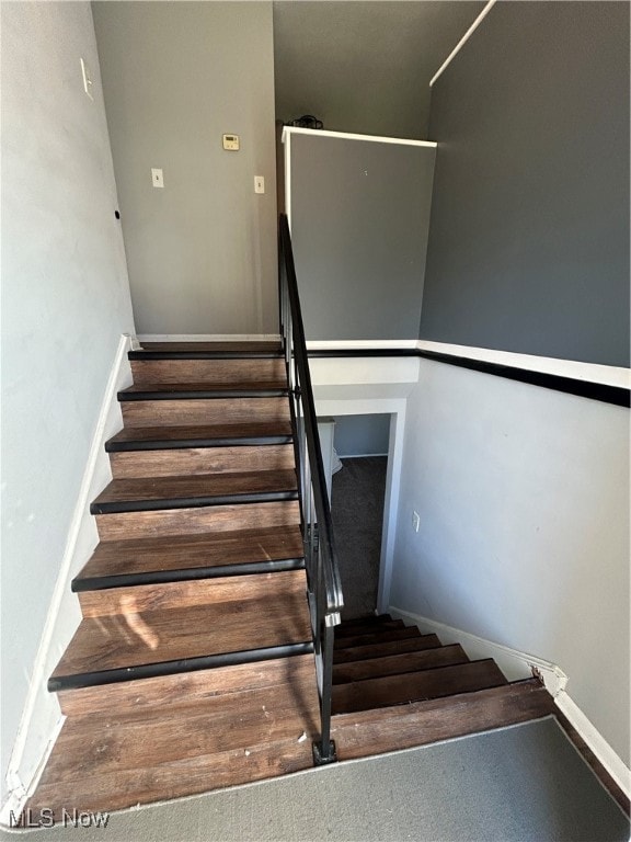 staircase featuring carpet floors