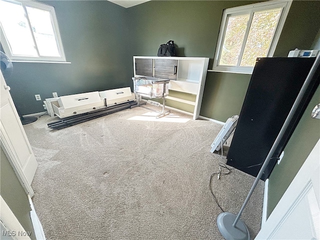 bedroom featuring carpet floors