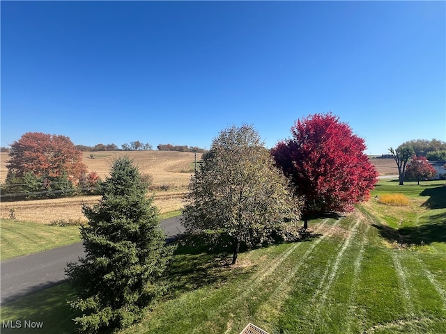 view of yard featuring a rural view