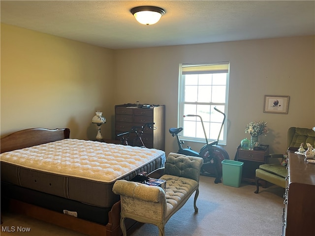 bedroom with carpet