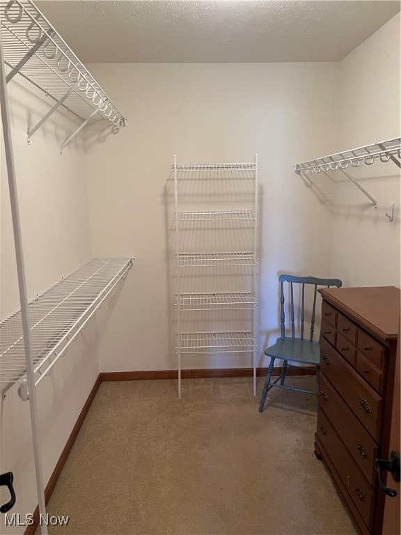 walk in closet featuring carpet flooring