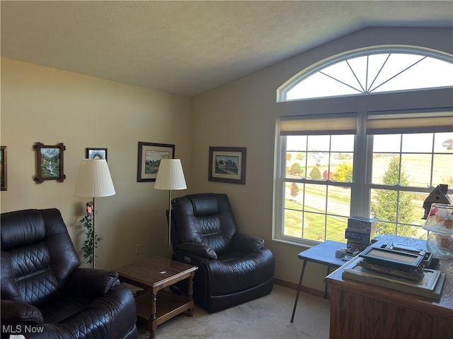 carpeted home office with vaulted ceiling and a textured ceiling