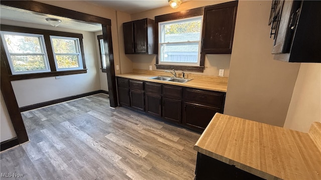 kitchen featuring sink, a healthy amount of sunlight, dark brown cabinetry, and light hardwood / wood-style flooring