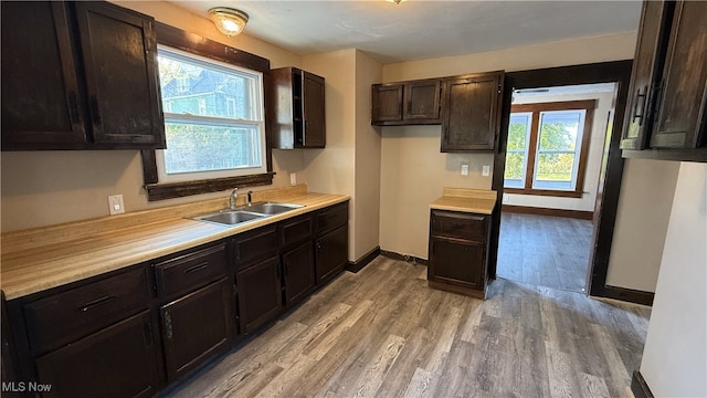 kitchen featuring light hardwood / wood-style floors, dark brown cabinetry, and sink