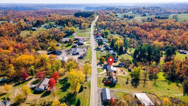 drone / aerial view