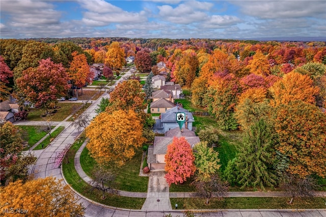 bird's eye view