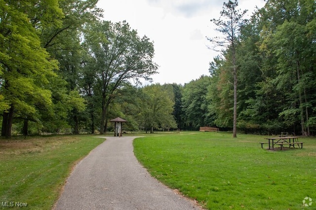 view of community with a yard