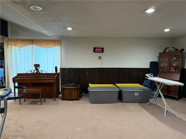 misc room featuring wood walls and carpet flooring