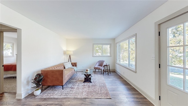 living room with hardwood / wood-style flooring