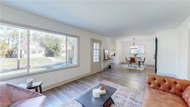 living room featuring a chandelier, plenty of natural light, and hardwood / wood-style floors