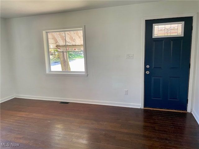 foyer featuring dark wood-type flooring