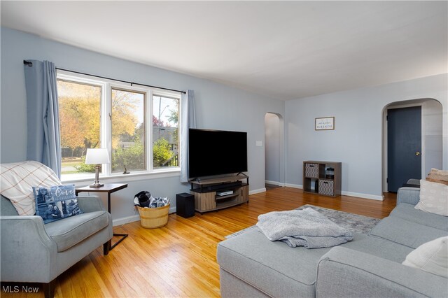 living room featuring hardwood / wood-style flooring