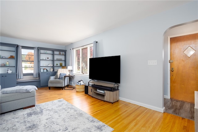 living room with hardwood / wood-style flooring and a healthy amount of sunlight