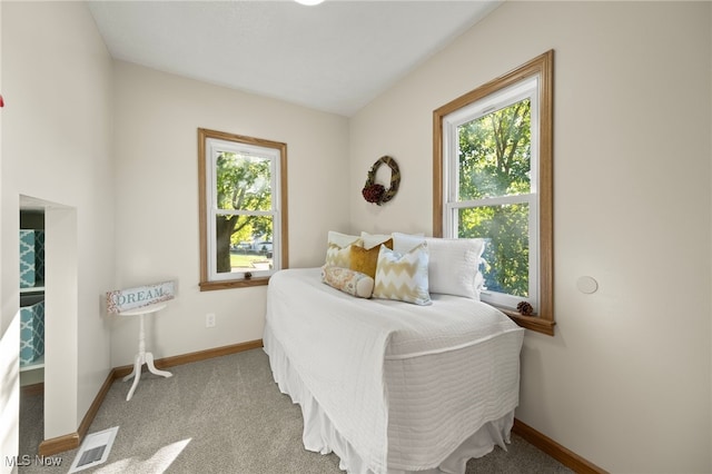 carpeted bedroom featuring multiple windows