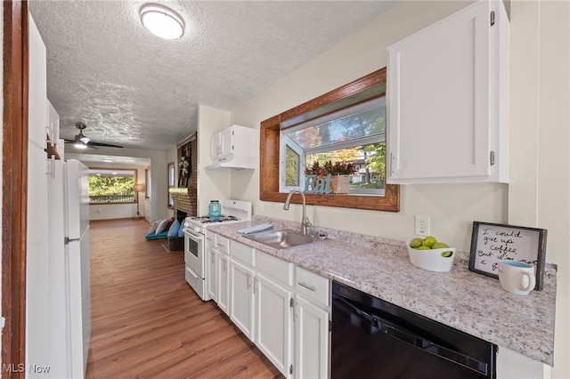 kitchen with light hardwood / wood-style floors, sink, white cabinetry, white appliances, and ceiling fan