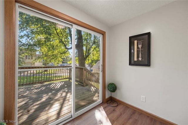 entryway featuring a textured ceiling and wood-type flooring