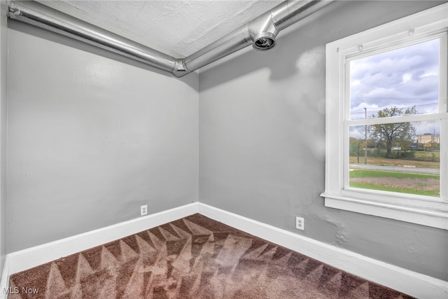 walk in closet featuring carpet