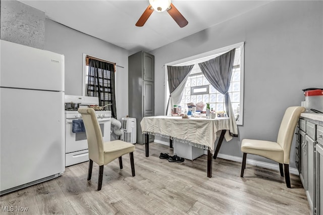 dining room featuring baseboards, a ceiling fan, and light wood-type flooring