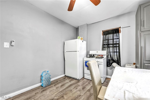 office featuring ceiling fan and light wood-type flooring