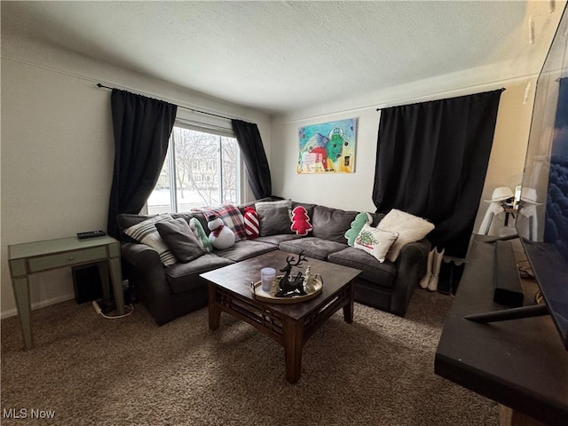 living room featuring carpet flooring and a textured ceiling