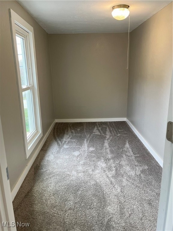 spare room with carpet floors