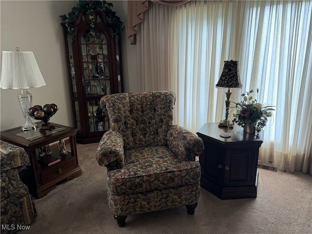 sitting room with carpet flooring