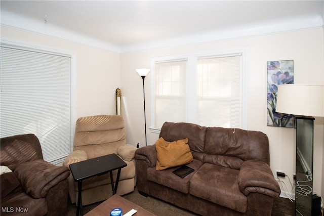 carpeted living room with ornamental molding