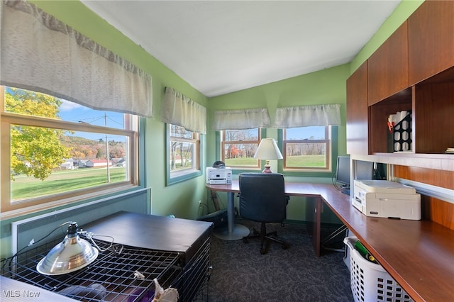 office space featuring a healthy amount of sunlight and vaulted ceiling