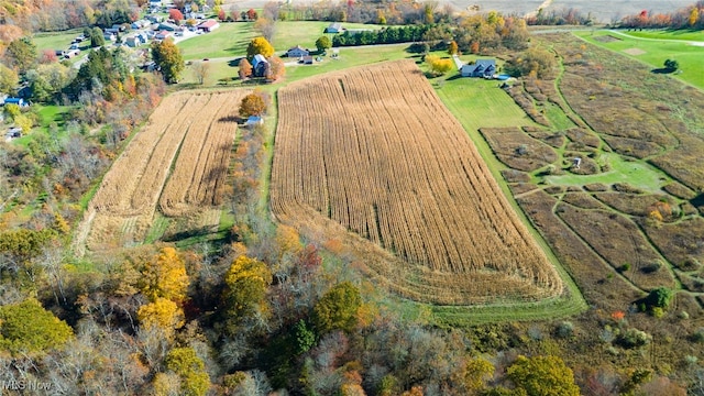 birds eye view of property with a rural view