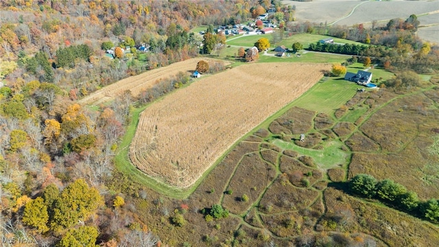 bird's eye view featuring a rural view