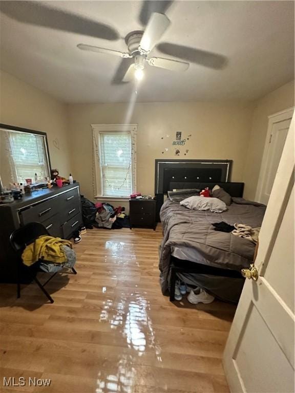 16512 Burnside Ave, Cleveland, OH 44110 - bedroom with light wood-style floors and a ceiling fan