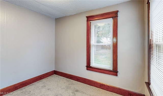 spare room with carpet flooring and a textured ceiling