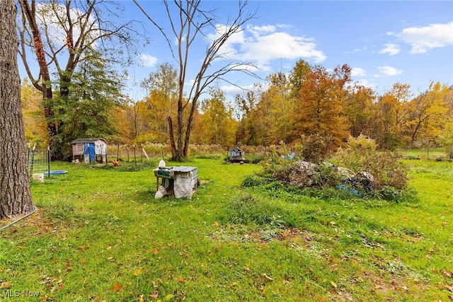 view of yard featuring a shed