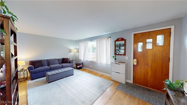 living room with light wood-type flooring