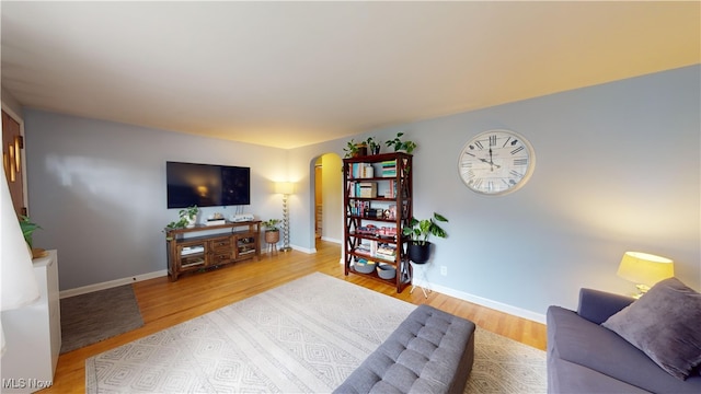 living room featuring light hardwood / wood-style flooring