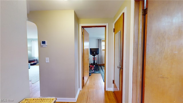 corridor featuring light wood-type flooring