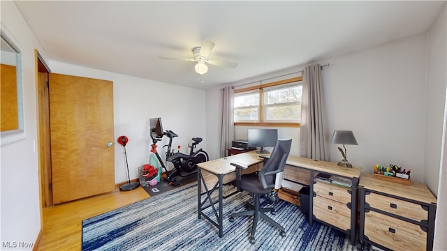 office with ceiling fan and hardwood / wood-style flooring