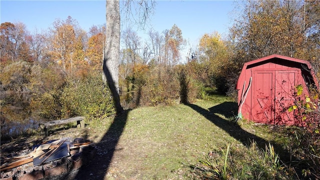 view of yard with a shed