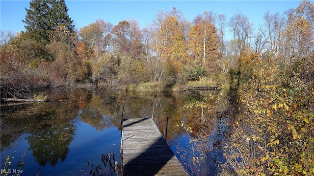 view of dock featuring a water view