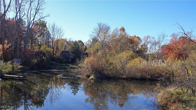 property view of water