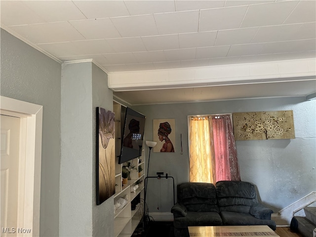 living room with ornamental molding